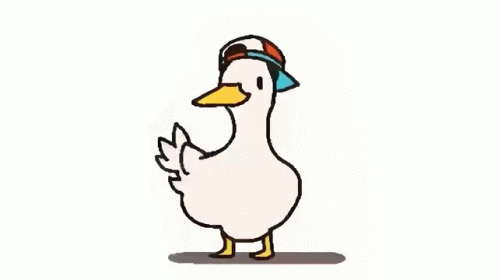 IMG_3431.gif