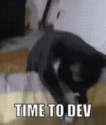 MP4 to GIF Dev Time.gif