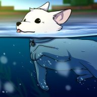 ACuteWoof