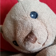 picbear