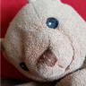 picbear